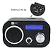 Ocean Digital WiFi/FM Internet Radio WR80 WLAN/LAN Ethernet Wake-up Function Table Radio - Black