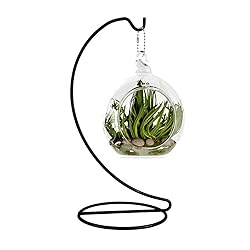YEARCHY Ornament Display Hanger Rack Stand Hook