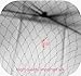 Pack of 20pcs Hair Nets Invisible Elastic Edge Mesh Fancy Look Hair (Black)