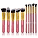 FEIYAN Makeup Brushes Set Premium Synthetic Cosmetic Set Professional Liquid Foundation Face Eyeliner Blush Contour Powder Brushes Kit (10 pcs, Golden Pink)