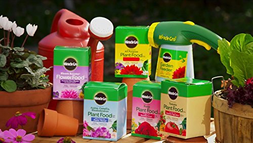 Miracle-Gro 1001233 All Purpose Plant Food - 5 Pound, 2 Pack