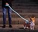 NiteyLeash - LED Glow in The Dark Pet Dog Leash (Blue)