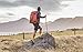 DANISH ENDURANCE Merino Wool Hiking Socks - Moisture Wicking, Cushioned to Prevent Blisters - For Men, Women, 3 Pair Pack