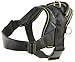 Dean and Tyler DT Dog Harness, Black with Yellow Trim, X-Large - Fits Girth Size: 34-Inch to 47-Inch
