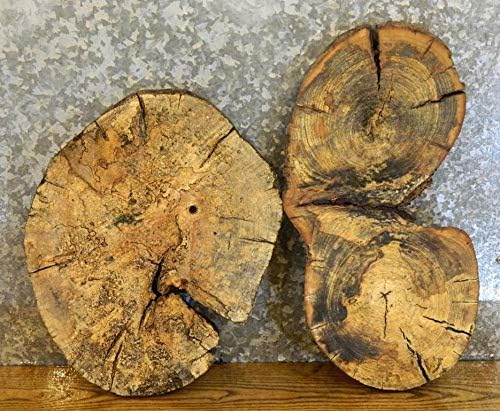 2- Hackberry Live Edge Round/Oval Cut DIY Charcuterie Boards T: 1 3/8''D: 20 1/2'' - 14014,14026