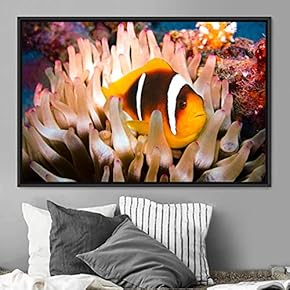 signwin Framed Canvas Wall Art Deep Under Group...