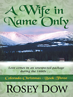 A Wife In Name Only Love Comes In An Unexpected Package