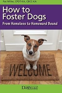 How to Foster Dogs: From Homeless to Homeward Bound