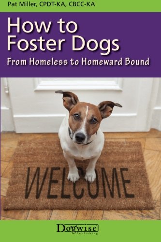 dog fostering for homeless