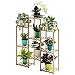 Multi-Tier Bamboo Plant Stand Plant Flower Display Rack, Wood Adjustable Planter Rack Flower Pots Holder Indoor Outdoor Flowers Shelf Organizer Storage Rack Shelving Unit, 32.7×39.4×9.8inchthumb 1