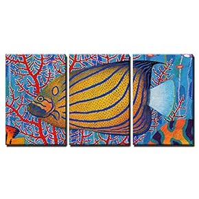 3 Piece Canvas Wall Art - Blue Ring Angelfish Original Acrylic Painting on Sa-Paper - Modern Home Art Stretched and Framed Ready to Hang - 16"x24"x3 Panels