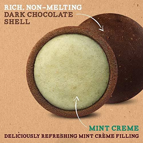 Trail Truffles - Vegan, Paleo Friendly Superfood Protein Balls - Healthy, Plant Based, Gluten Free, Dairy Free, Soy Free, Non-GMO Snacks (Mint Crème, 1 Pack) - Thumbnail 5