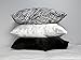 Morning Glamour 2-Pack Signature Box Pillowcases, Ivory, Standard (20