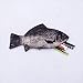 Vivian Creative Pen Bag Fish Shape Pencil Case Zip Pouch Coin Purse Bag