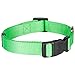 Blueberry Pet Essentials Dog Collar | Adjustable Girl Dog Collars for Medium Dogs | Neon Green Puppy Collar | Classic Nylon Dog Collars for Small Dogs | Pet Accessories
