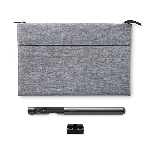 Wacom Protection Accessory Kit for Wacom Cintiq Pro 16" (DTH1620AK0/DTH1620K0) with tablet carrying case and Wacom Pro Pen 2 case