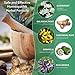 Homeopathic Mole and Skin Tag Remover - Neck Tag Mole Removal Cream (1 oz.) All Natural Herbal Ingredients with Bloodroot, Galangal Root & Graviola for Optimal Effect