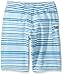 Volcom Boys' Magnetic Liney Youth Boardshort