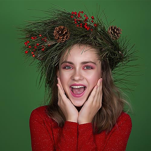 JOHOUSE 30PCS Christmas Pine Cones, Natural Pinecones for Crafts Assortment Rustic Pine Cones for Decorating Christmas Winter Holidays Table Bowl Fillers