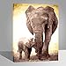 RIHE DIY Oil Painting Paint by Numbers Kits with Brushes Acrylics Painting Kits on Canvas for Adults Kids Beginner - Elephant 16x21 Inch(Wooden Framed)