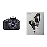Canon EOS Rebel T6 Digital SLR Camera Kit with EF-S