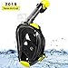 Full Face Snorkel Mask, 2019 Upgraded Snorkeling Mask with Newest Breathing and Dry Top System, Foldable 180 Degree View Dive Mask with Camera Mount and Earplug, Anti-Leak Anti-Fog for Adult Kids