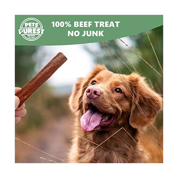 Pets Purest Dog Treats Beef Strips UK - 100% Natural Air-Dried Chews for Dogs, Puppy & Senior. Pure Healthy…