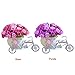 Voberry Home Decorative Furnishing Floats [Bicycle Basket] [Mini Bike] Rose Flowers Tricycle Plant Stand (Purple)
