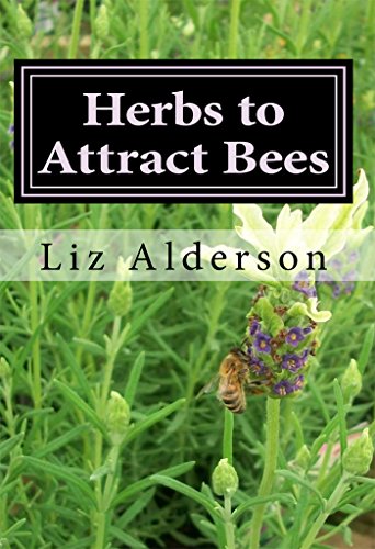 Herbs to Attract Bees by Liz Alderson