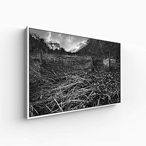 Canvas Wall Art for Living Room, Bedroom Monochrome Landscape Framed Canvas Prints for Home Decoration Ready to Hang - 16x24 inches