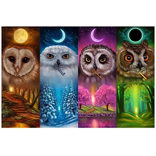 BBTO DIY Diamond Painting Kits Owl 5D Full Drill Rhinestone Animals Painting Art Craft for Home Decoration