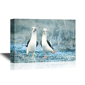 Wild Animal Canvas Wall Art - Couple of Blue Footed Boobies Performing Mating Dance - Gallery Wrap Modern Home Art | Ready to Hang - 12x18 inches