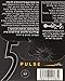 Kosher Five Pulse Sugar Free Gum (10 Pack)
