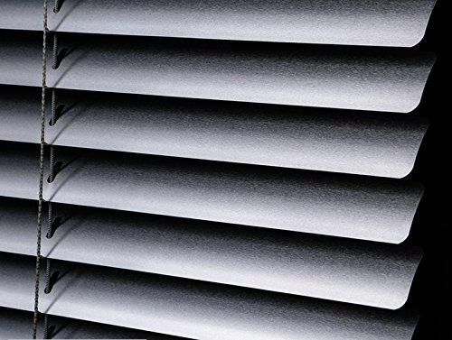 PASSENGER PIGEON Aluminum Blackout Light Filter Blinds Horizontal Custom-Made Water Rust Proof Fire Resistant Window Mini Blinds,1 Inch Slats,48" W x 96" L,Silver