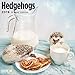 2020 Hedgehogs Calendar 16 Month 12 x 12 Wall Calendar by Bright Day Calendars (Hedgehogs 2019)