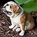 Sandicast Original Size Fawn Bulldog Sculpture - Sitting