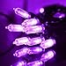 Lalapao Outdoor Lights M5 Battery Operated String Lights 50 LED Lights Clear Mini Fairy Christmas Lighting for Xmas Tree Indoor Outdoor Garden Patio Lawn Party Home Decorations (Purple)