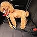 WINSEE Dog Seat Belt, 3 in 1 Multifunctional Pet Safety Belt Bungee Dog Car Harness with 2 Hook Latch & 1 Seatbelt Buckle, Swivel Aluminum Carabiner,Retractable Vehicle Harness