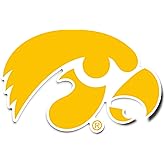 Desert Cactus University of Iowa Sticker Hawkeyes Vinyl Decal Laptop Water Bottle Car Scrapbook (IND 5)