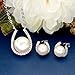 EVER FAITH 925 Sterling Silver CZ AAA Freshwater Cultured Pearl Horseshoe Necklace Earrings Set