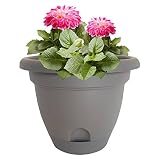 Bloem 818573011152 Living LP1660 Lucca Self-Watering Planter, 16-Inch, Peppercorn