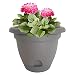 Bloem 818573011152 Living LP1660 Lucca Self-Watering Planter, 16-Inch, Peppercorn primary