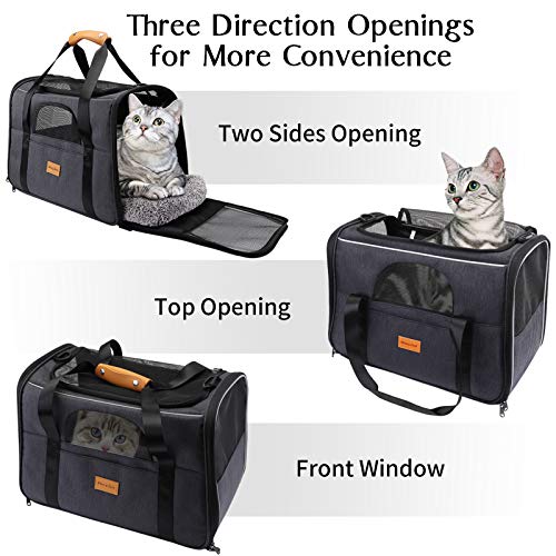 kitty obsession carrier