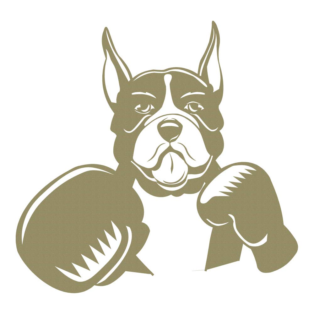 Amazon.com: Boxer Boxeo Cartoon Funny Pet Canina Perros ...