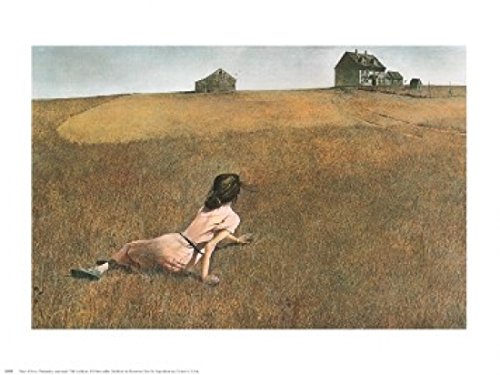 Andrew Wyeth Christina's World Poster Print (76.20 x 60