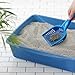 Amazon Basics Clumping Cat Litter, 40 lb Bag (Discontinued)