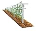 EcoTrellis, Raspberry Trellis and Stake, Vineyard Trellis, Pack of 2