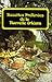 Recettes Préférées de la Nouvelle Orléans (French Edition) by