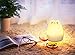 MOKOQI Rechargeable Light Bulb Lamp Set - Portable, Dimmable, Wireless LED Light Bulbs for Home, Camping, Emergency Use - Pack of 2