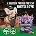Vital Essentials Freeze-Dried Beef Mini Nibs Grain Free Limited Ingredient Dog Entree, 1 lb Bag